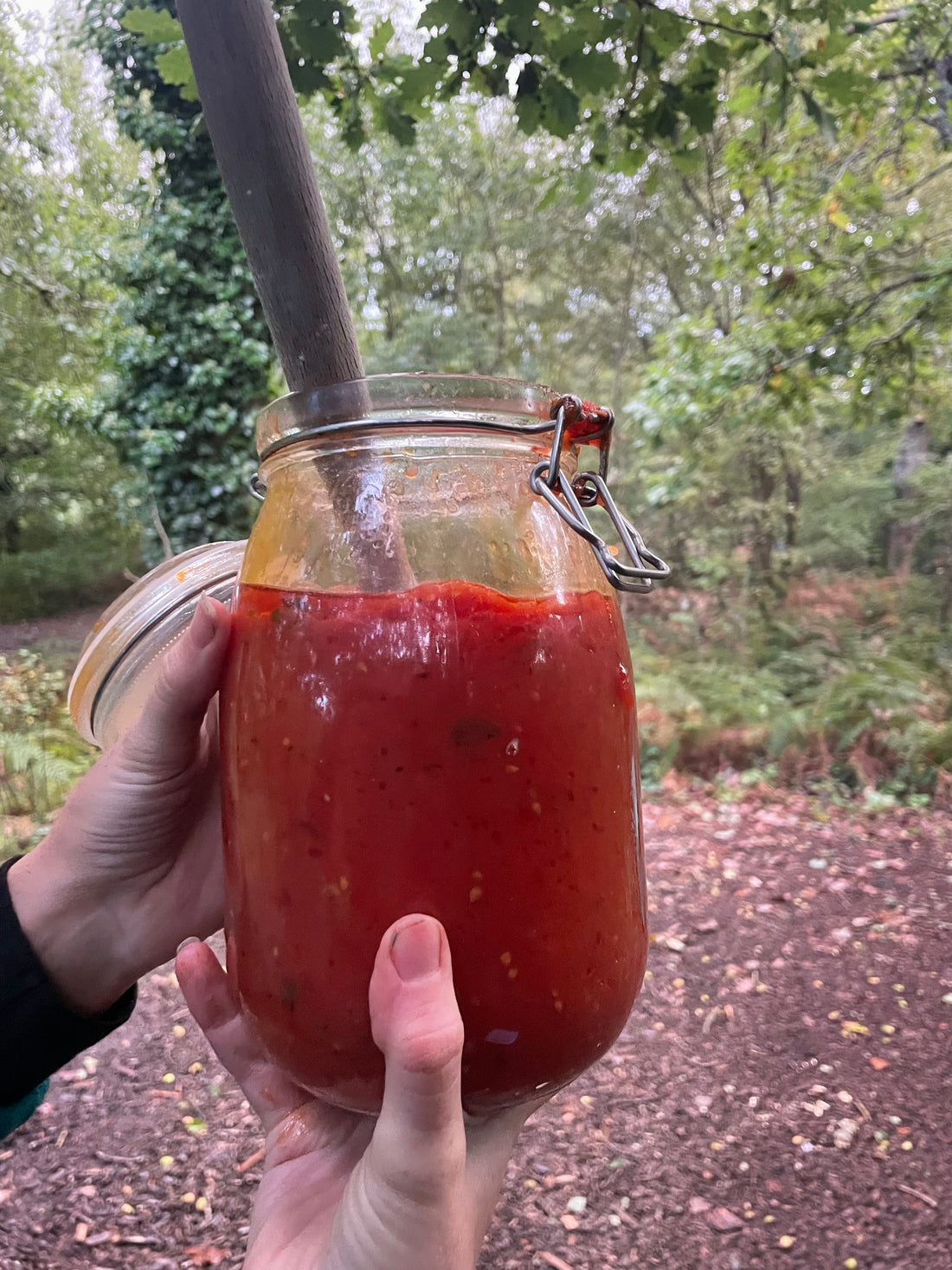 Camping Season's Tomato Sauce